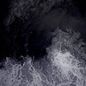 Meet your Posher, Celeste